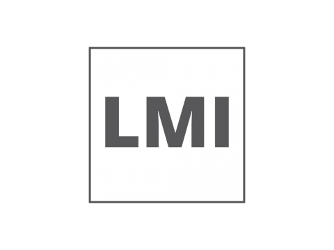 Load Moment Indicator (LMI)
